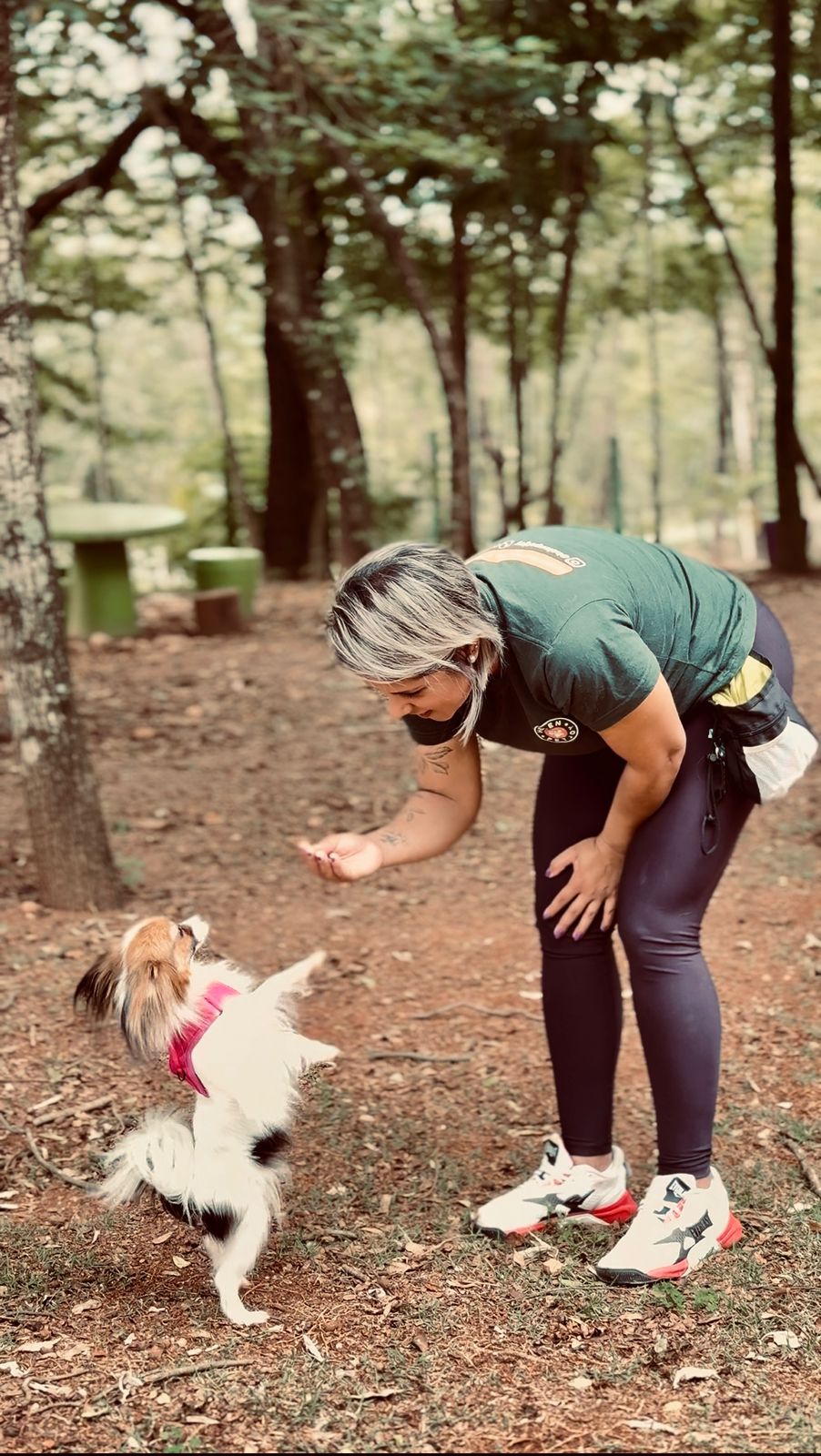 Dog walker em Jundiaí — passeio personalizado com cão de pequeno porte